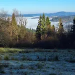 Pod Dubem * Navsi