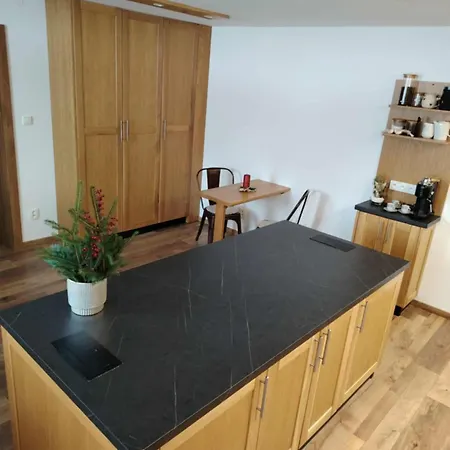 Pod Dubem Villa *