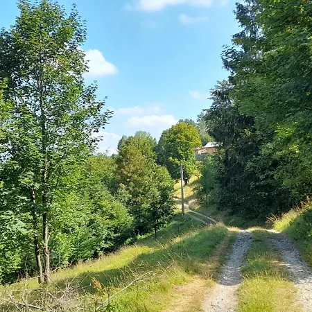 Pod Dubem Navsi